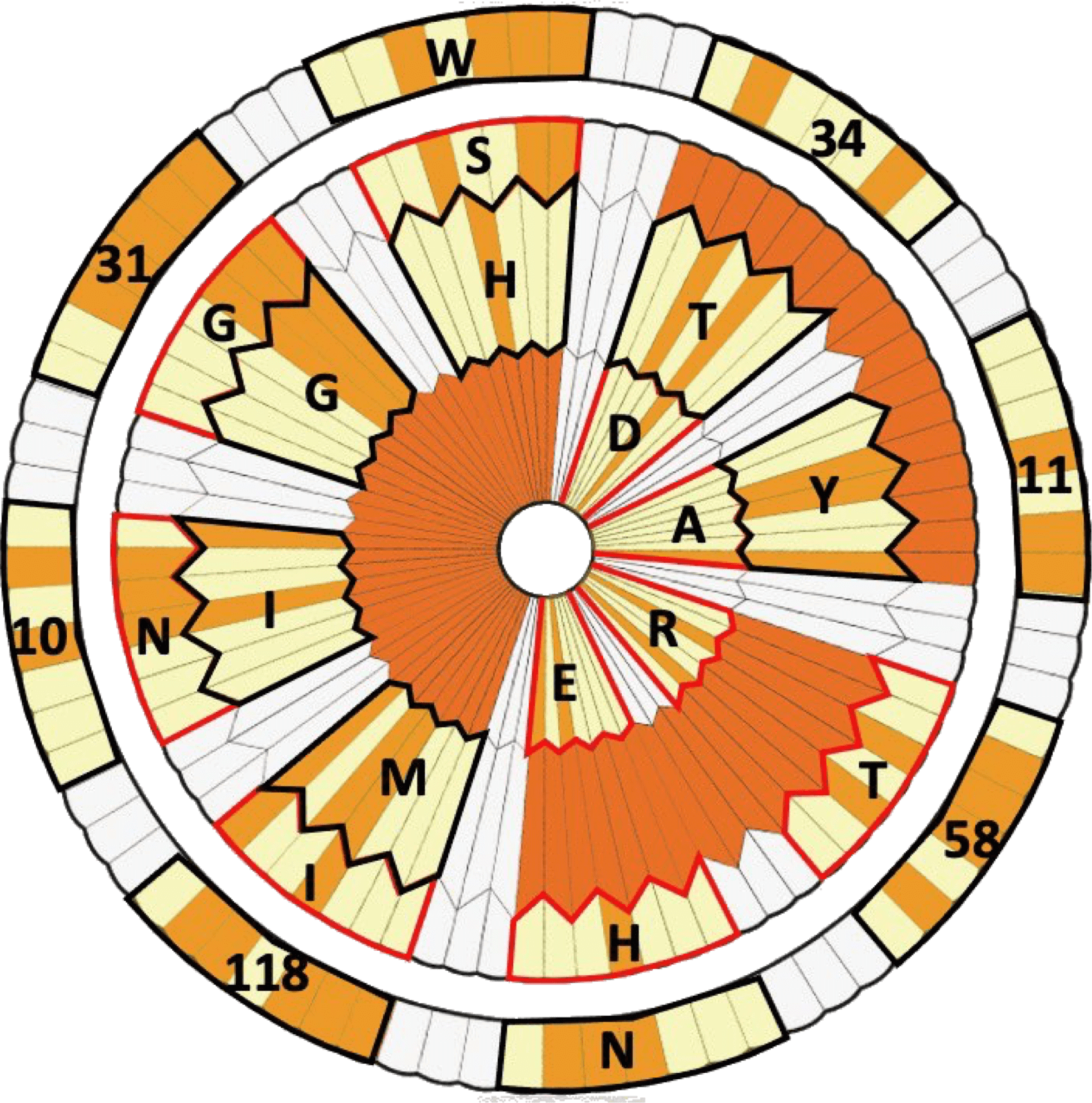spiegazione del codice nel paracadute